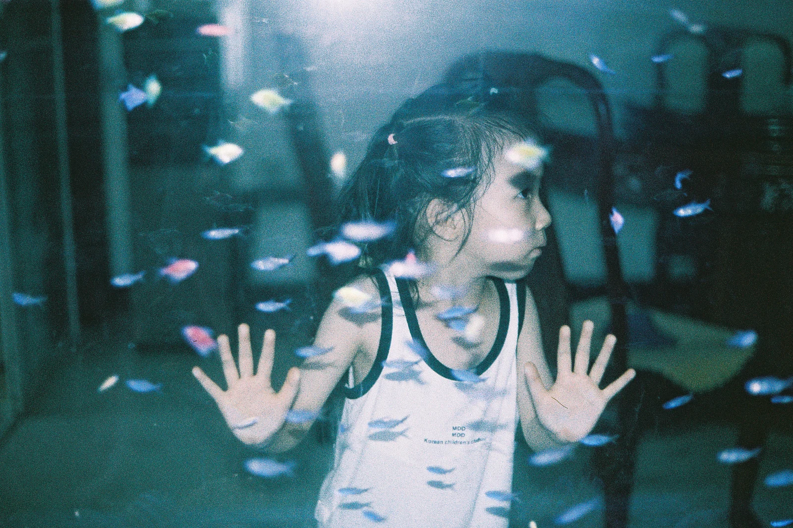 姪 — houh · Canon EOS 5 · NC 400
