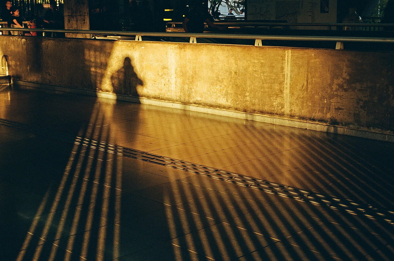 夕暮れの自画像 — Guilherme Tonon · Nikon F90 · Kodak Gold 200