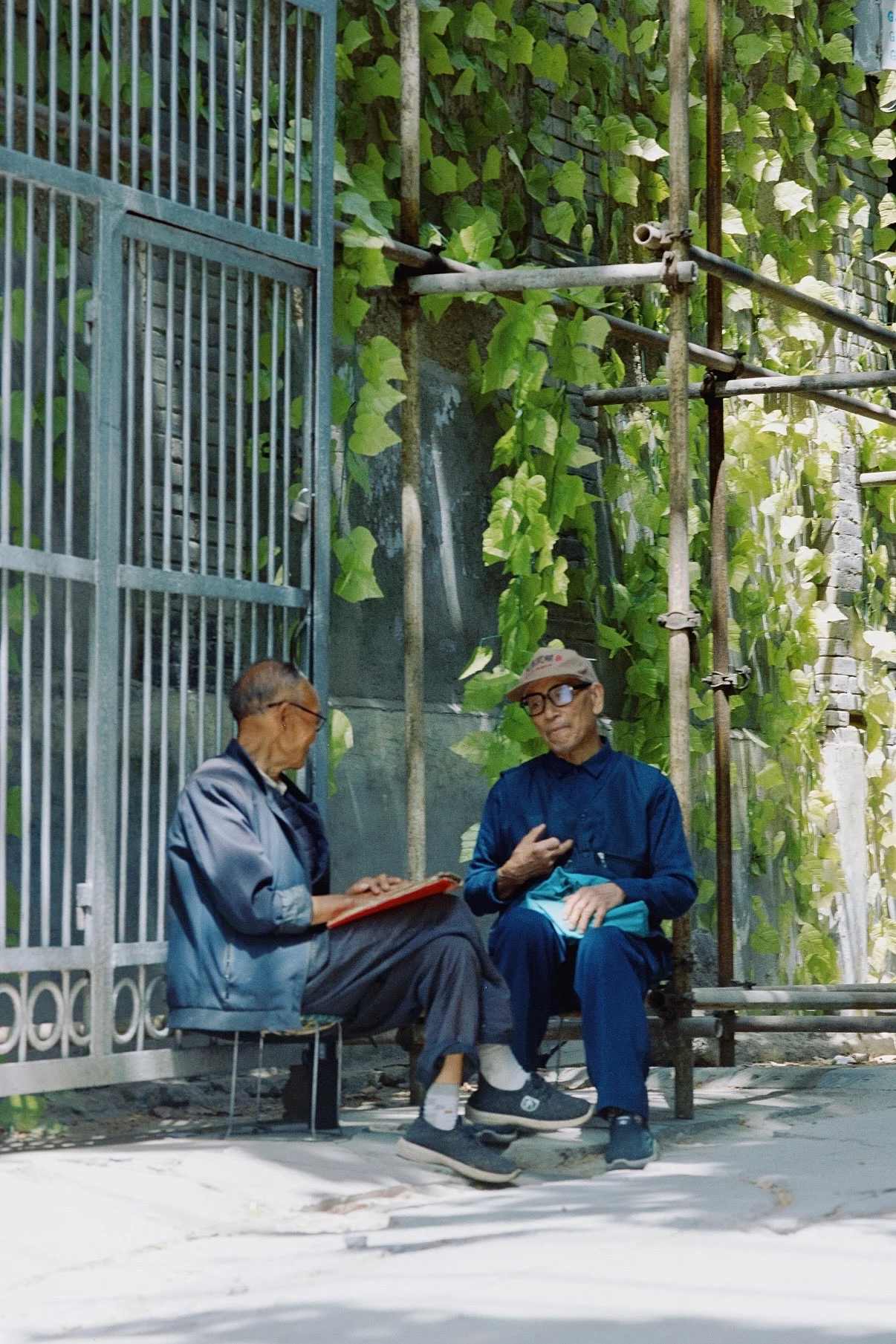 "Amigos" — 阿斯巴甜 · CONTAX G1 · Kodak 5203