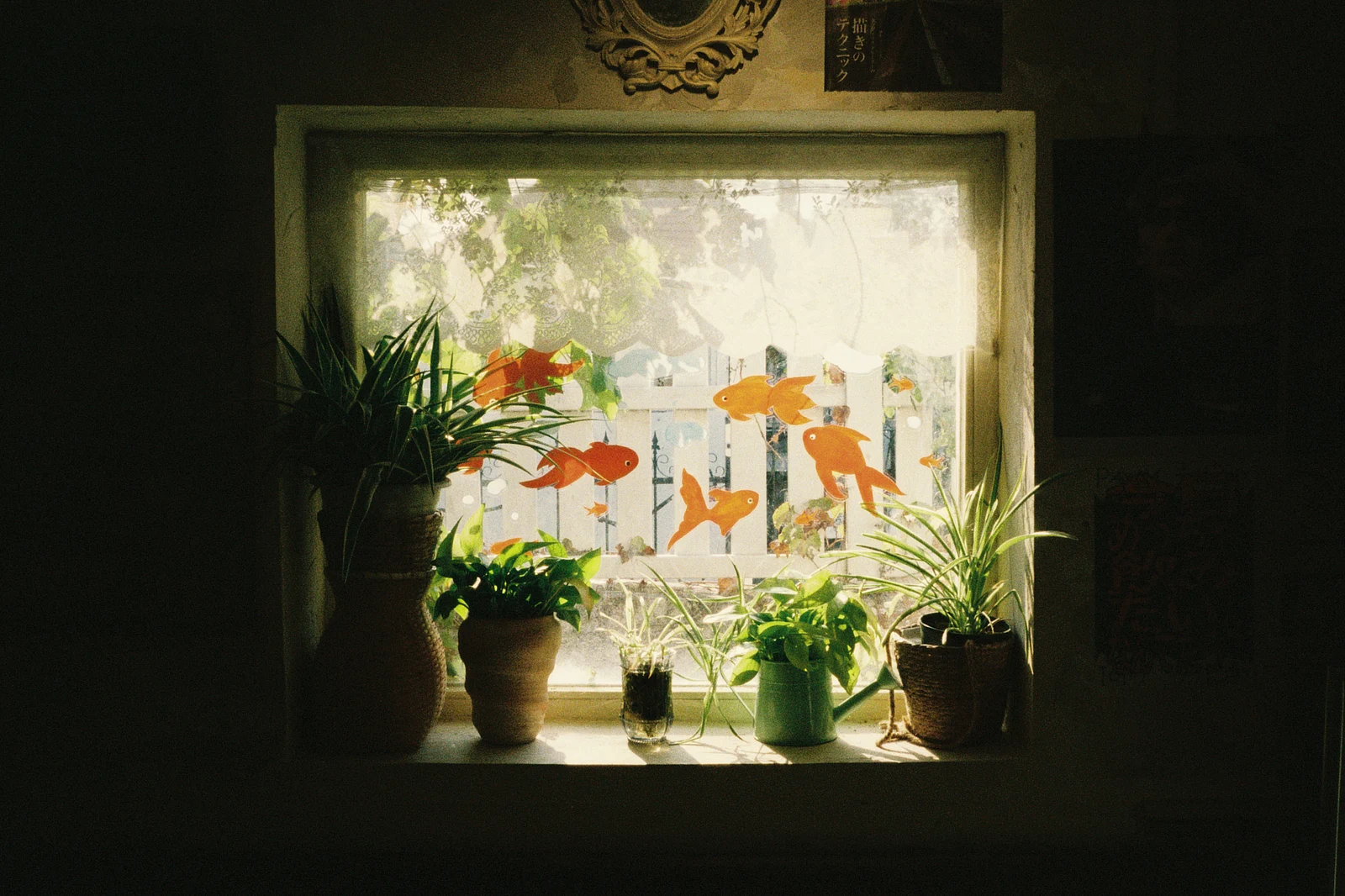 Janela — 话说先生 · Nikon F2AS · Kodak UltraMax 400