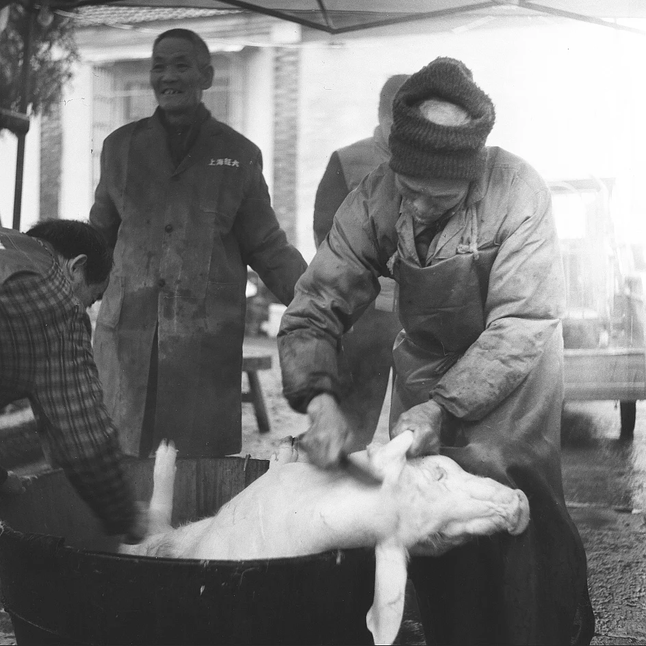 Sabor del Año Nuevo — 栴王爷 · Seagull 4A · Lucky película aérea