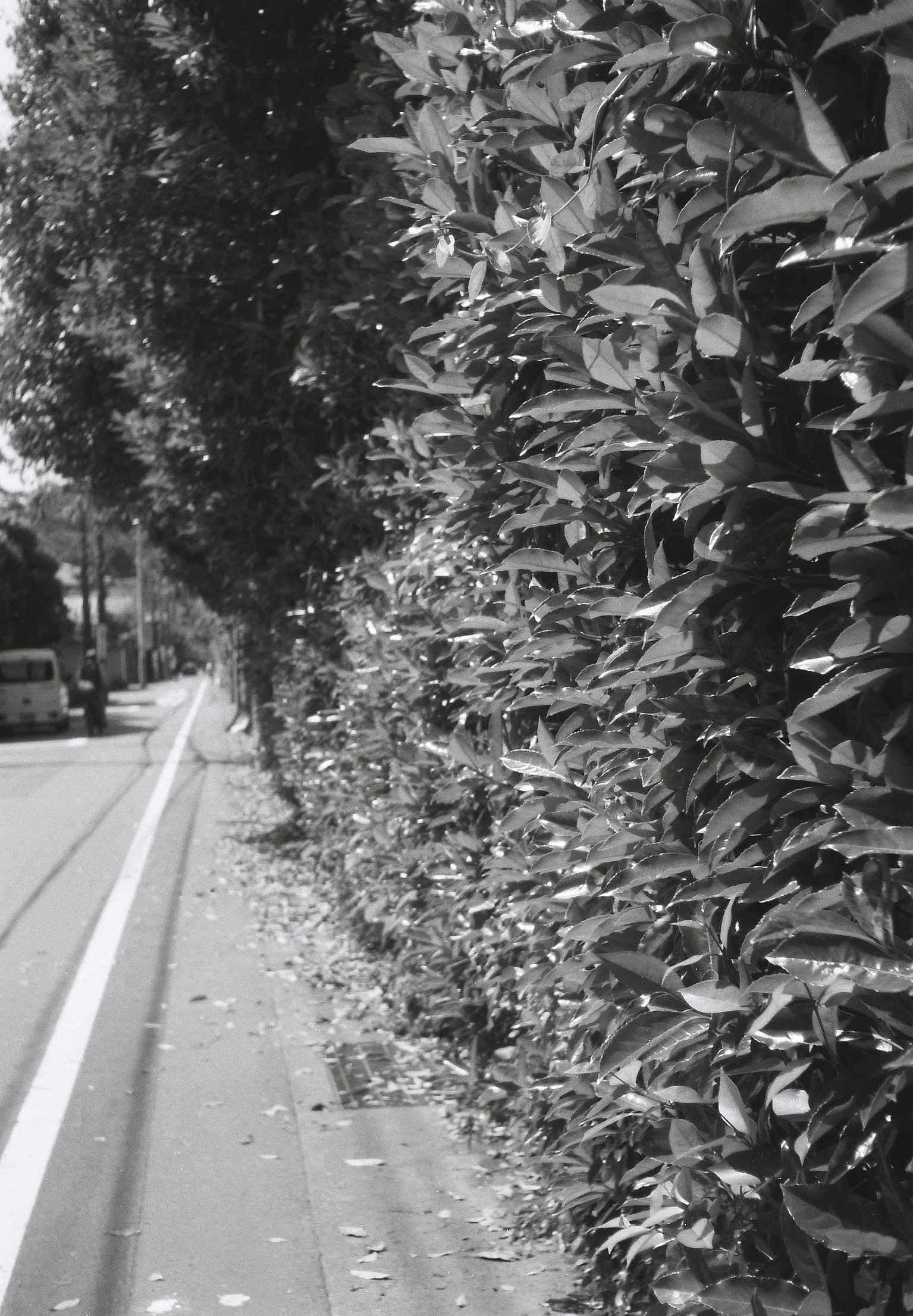 O caminho para o trabalho pela manhã… — 松本 司 · Olympus Pen EES-2 · Fomapan 100 Classic