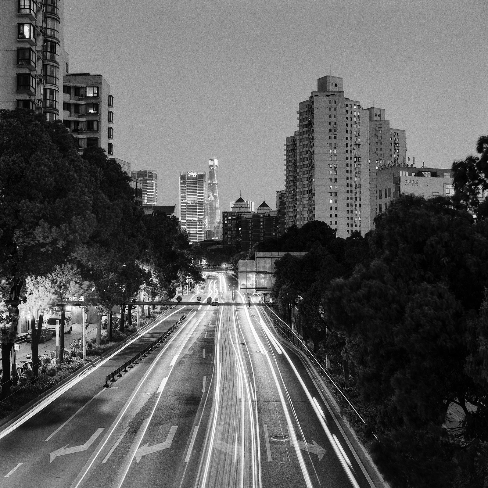 無題 — 灰灰 · シーガル 4B · Kentmere 400