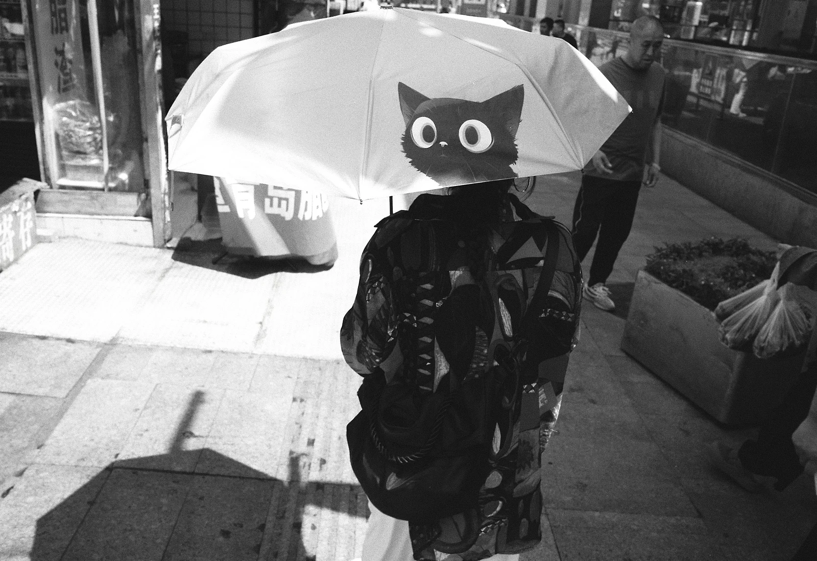 猫 — yezi · Leica M-A · Kodak Tri-X 400