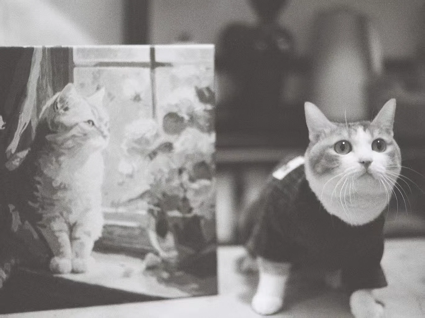 Tú y yo somos similares — Billy Kong · Canon EOS 30 · Fomapan 200 Creative