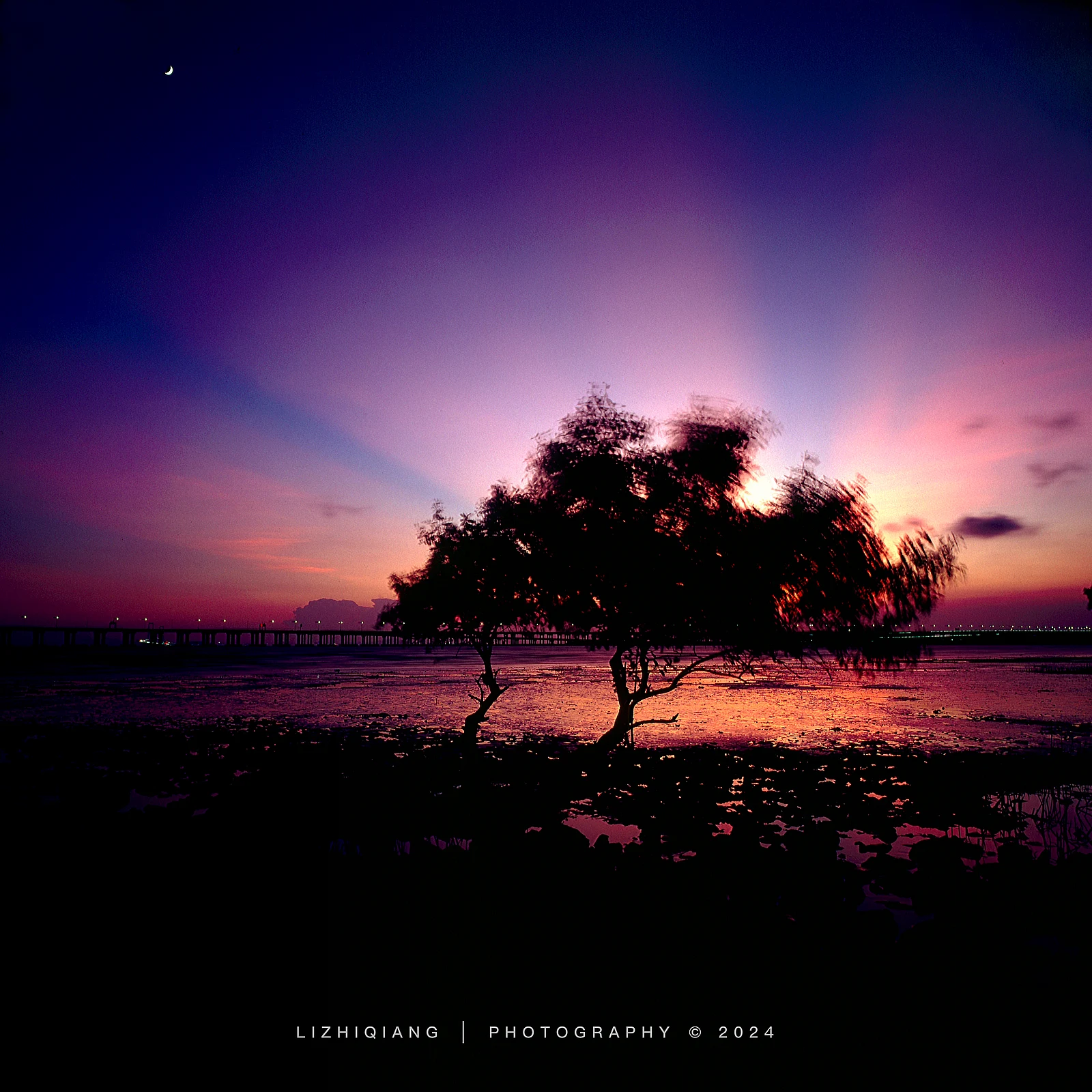 光 — LIZHIQIANG · Hasselblad SWC/M · Fujifilm Velvia 50