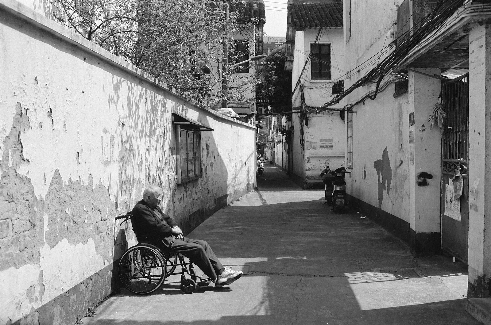 Gió thu sinh trên sông Vị — 秋风生渭水 · Nikon F6 · Fujifilm ACROS 100 II