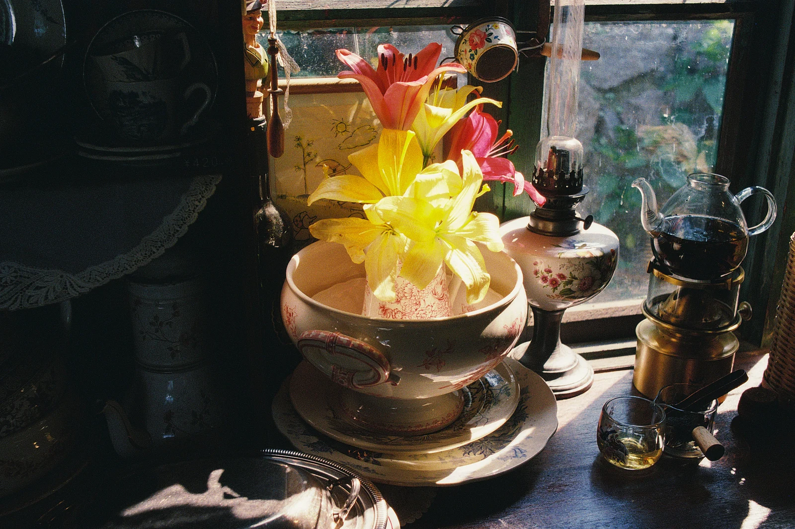Windowsill Lily — 话说先生 · Nikon F2AS · Fujifilm Fujicolor C400