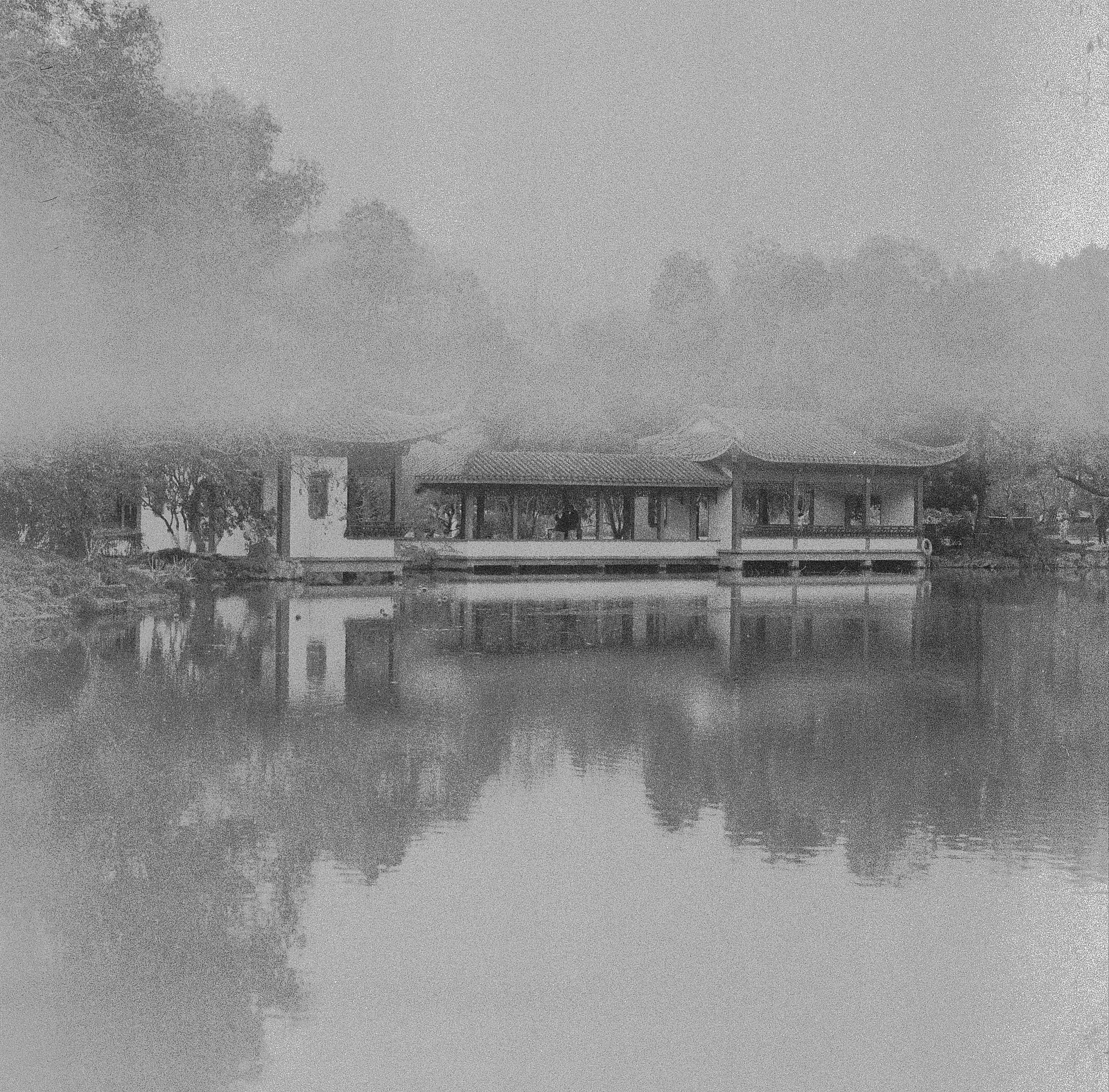 Phantom Dream — RJY · Hasselblad 500C/M · Lucky SHD 400