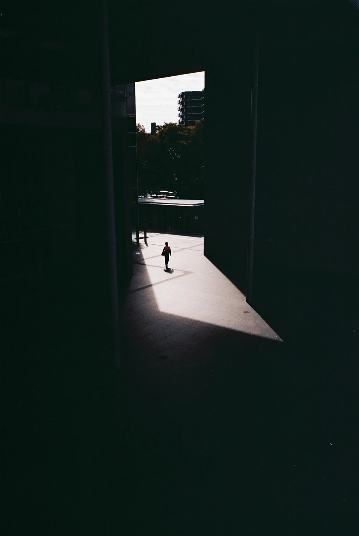 Refração — Shun Takazawa · Olympus OM-2n · Kodak ColorPlus 200