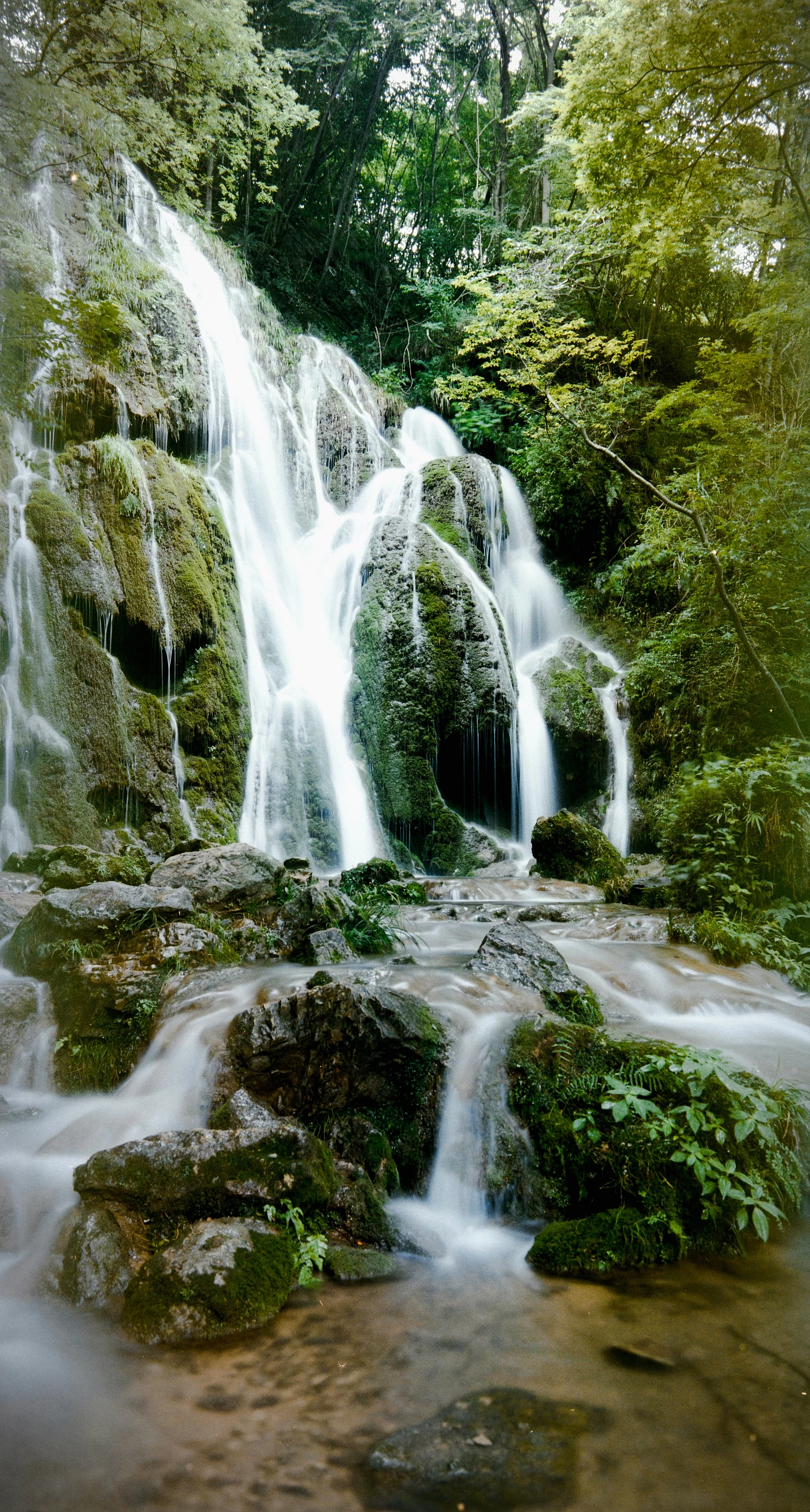 Cascada — 路易斯酸 · Mamiya RZ67 Pro II · FUJI SuperGAce400