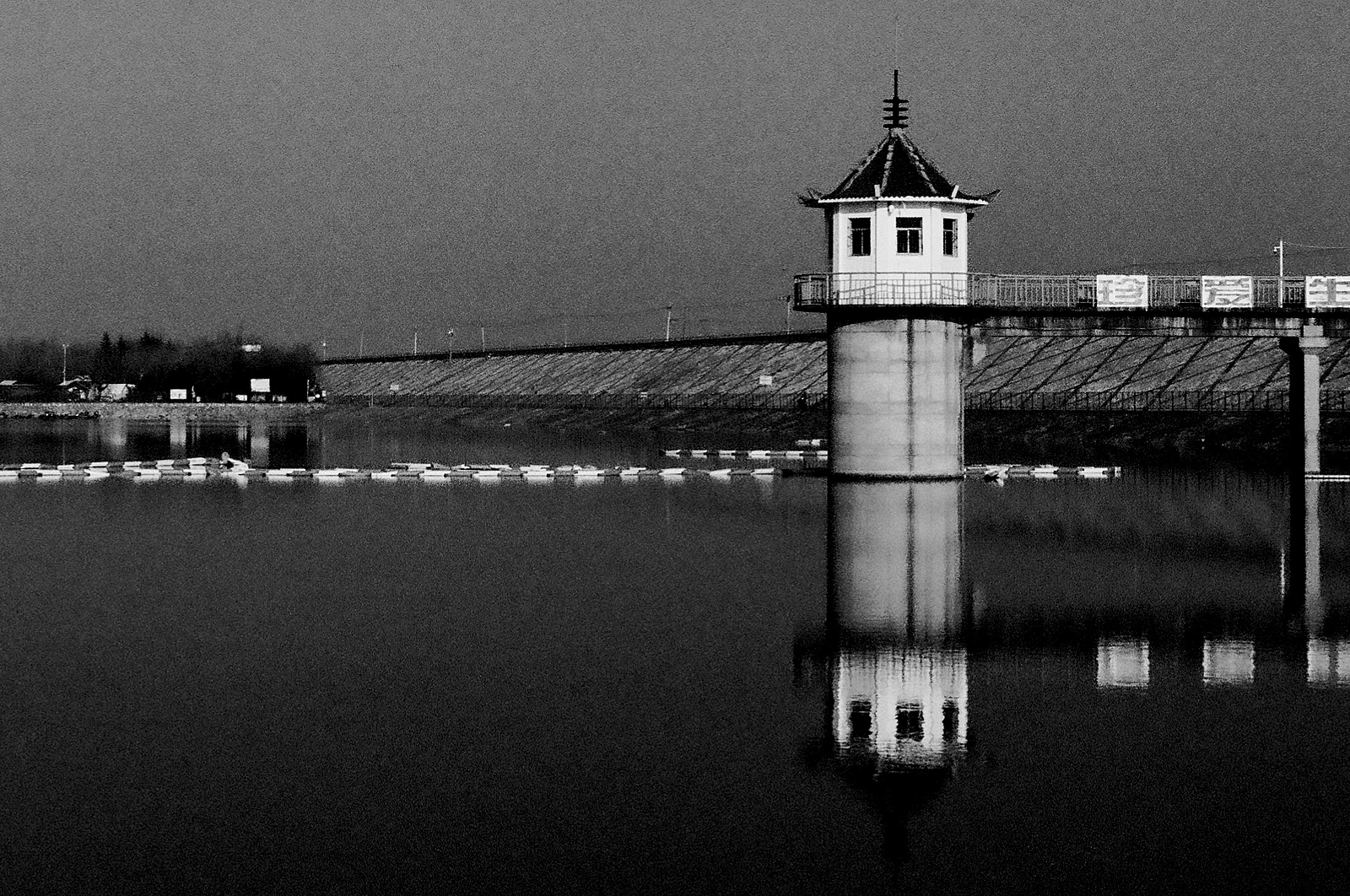 Bóng mực trong nước — 柿子还得挑远的捏 · Nikon F · Fomapan 100 Classic