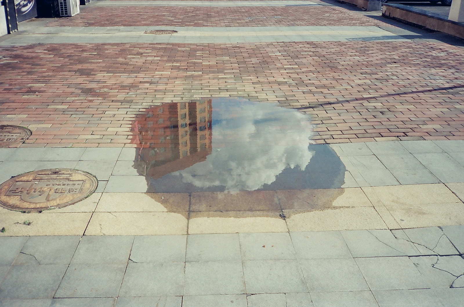 Looking Down at the Sky — 柿子还得挑远的捏 · Minolta Hi-Matic AF · Kodak Vision3 250D 5207