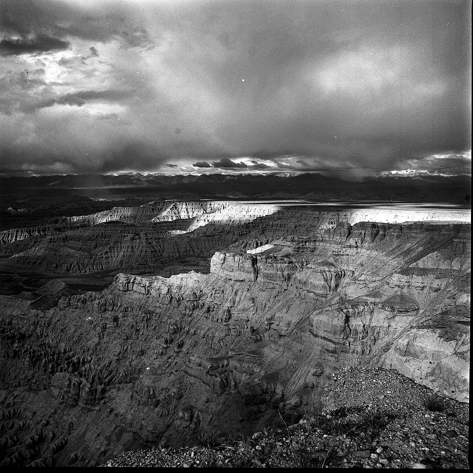 Atardecer en el bosque de tierra de Zanda — 包武军 · Hasselblad 503CX · Ilford Delta 100 Professional