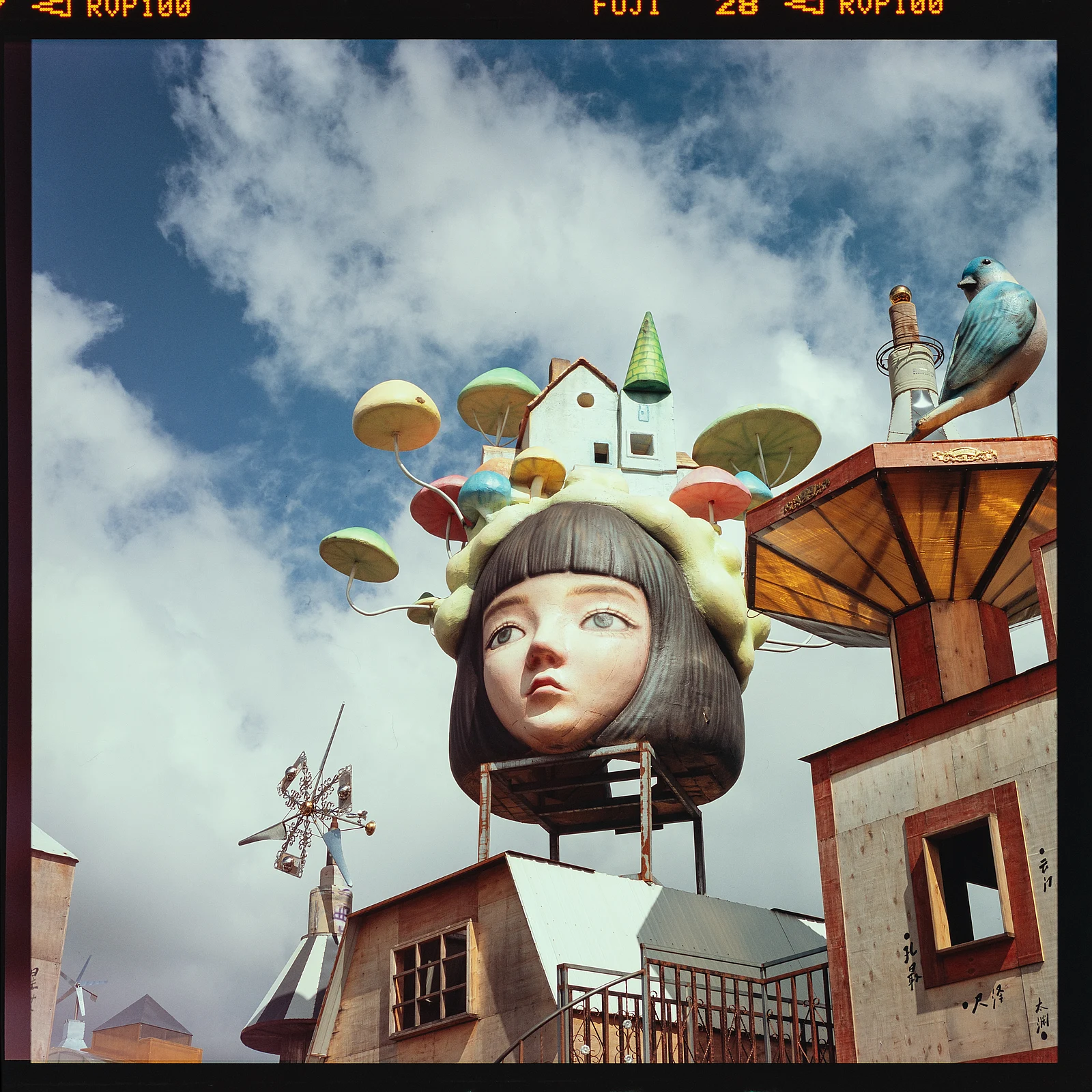 Alice nơi hoang dã — 胶片大叔 · Fujifilm GF670 · Fujifilm Velvia 100