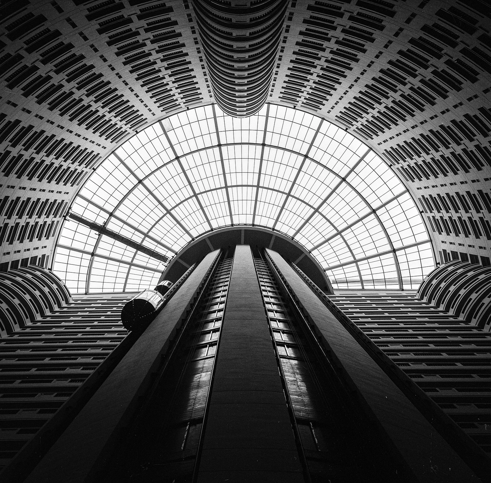Recogiendo luz — 麦田 · Rollei Rolleiflex 3.5F · Kentmere Pan 200