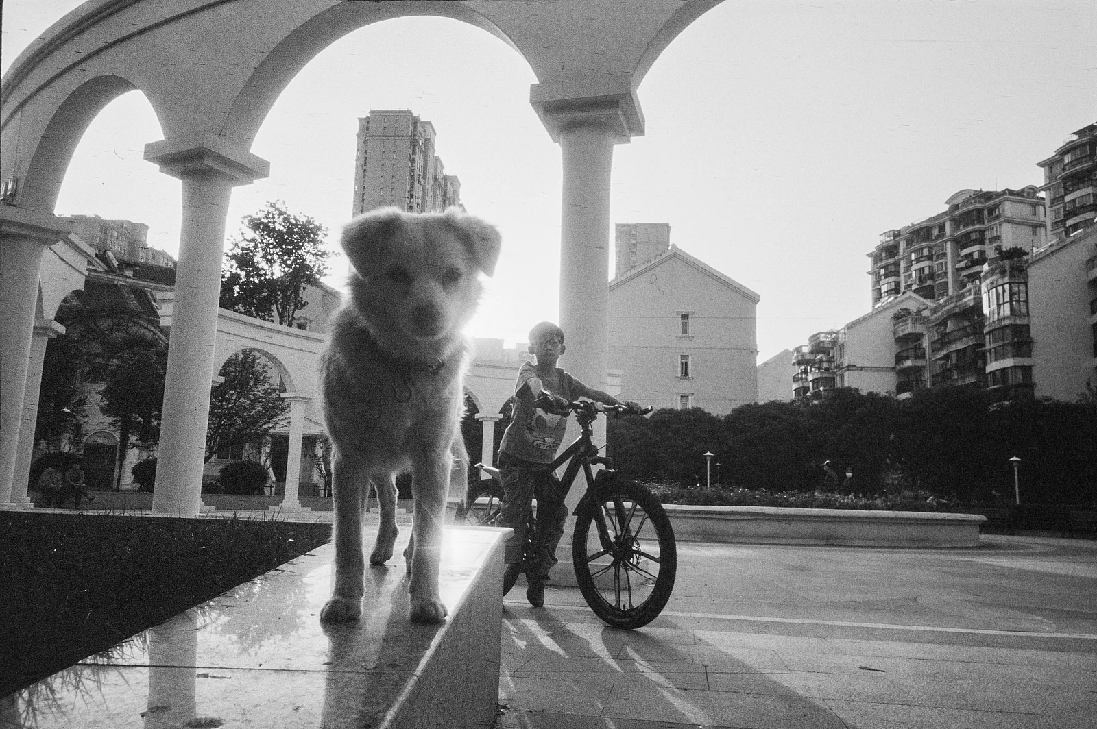 Không đề — 路易斯酸 · Ricoh GR10 · Lucky SHD400