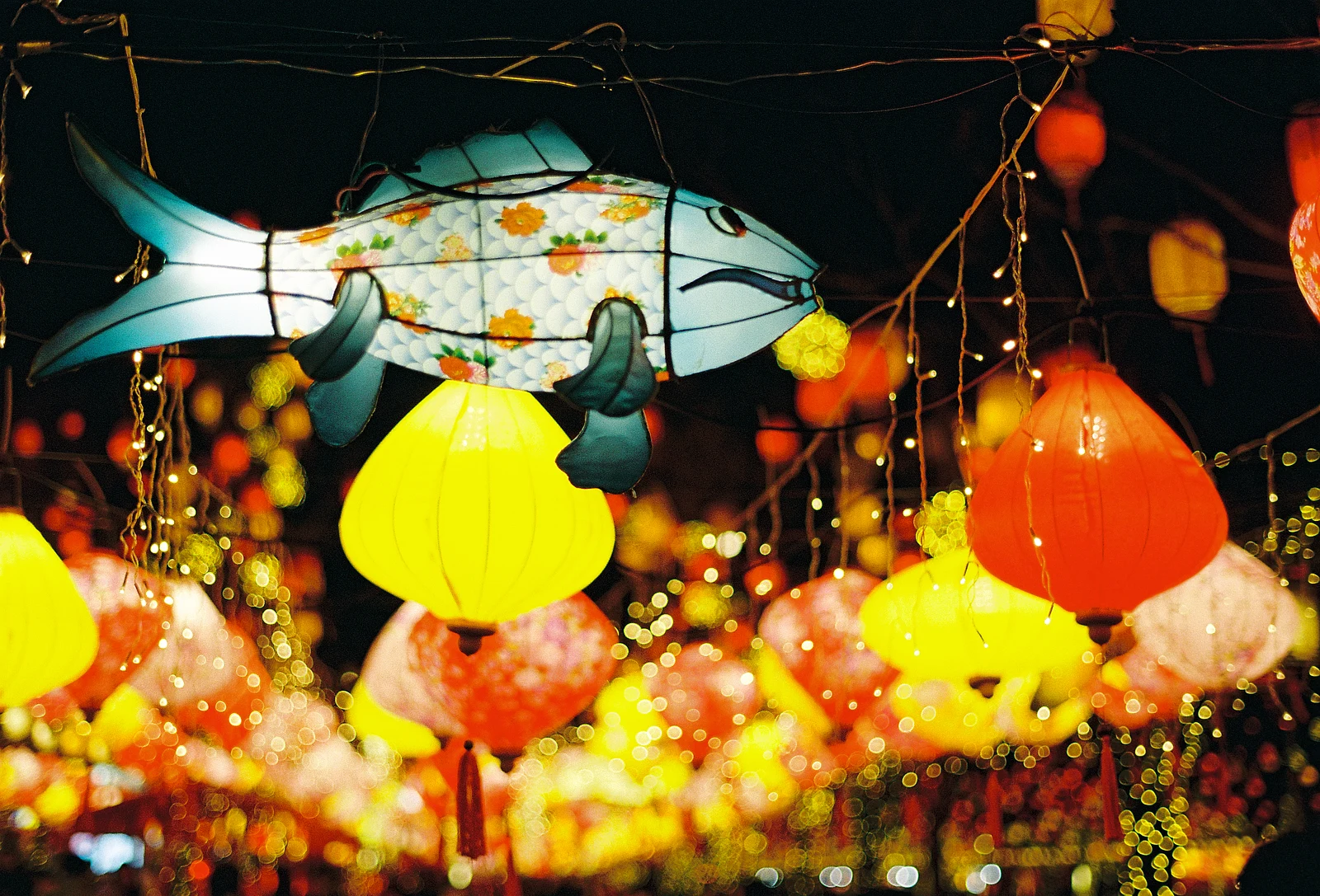 Lantern — 啤酒泡泡 · Pentax *ist · Kodak UltraMax 400