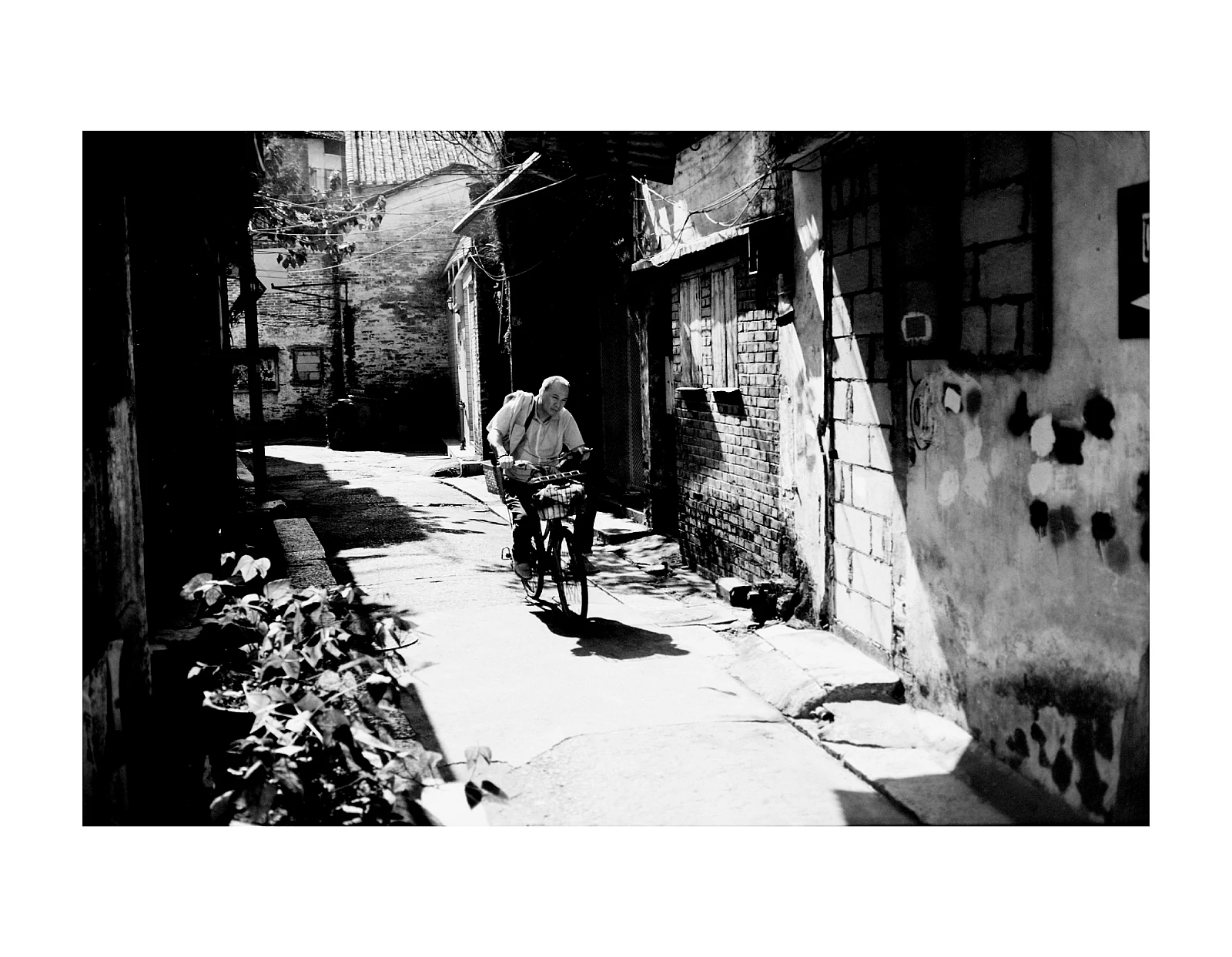 Paseo en bicicleta en un día soleado — 刘海洋 · Yashica 35GSN · Lucky 1025