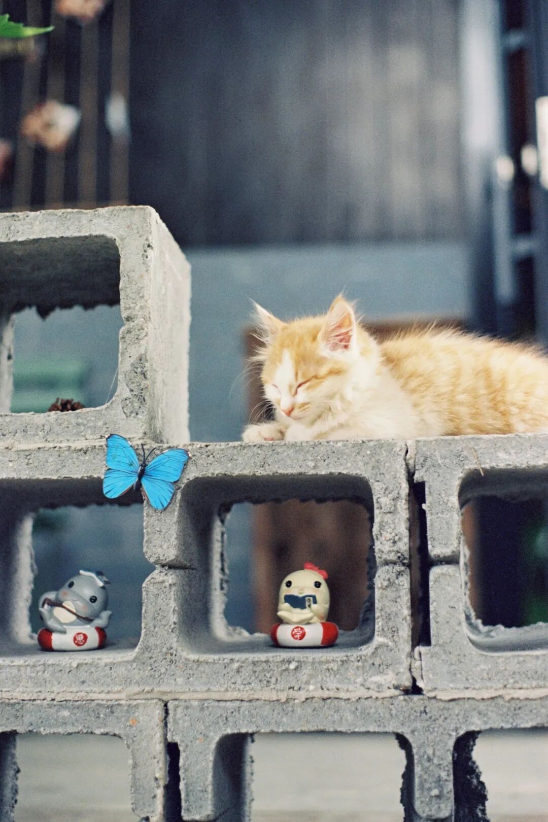 《隙间眠》 港湾 (China)